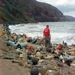 Wounded Nature volunteers completing a coastal cleanup mission